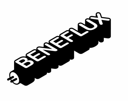 2005-logo_beneflux_1